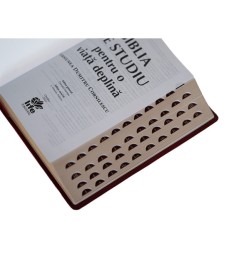Bestsellers